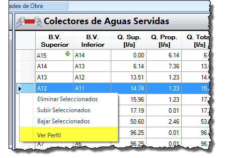 Ver-Perfil-desde-la-Ventana-Principal